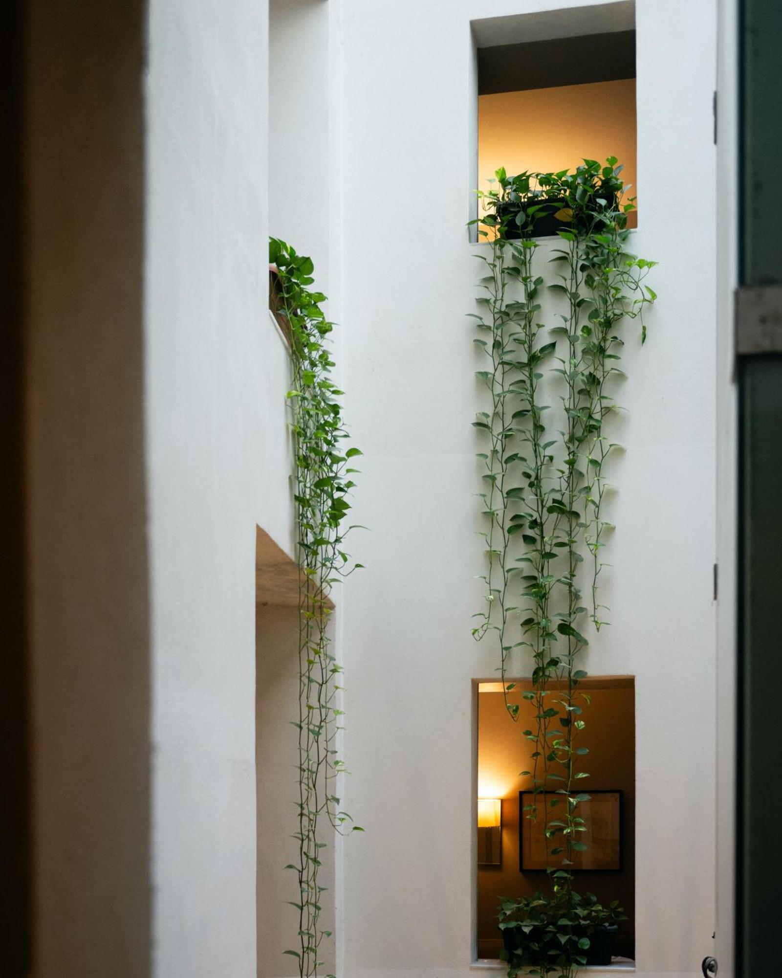 Hotel Ramblas Internacional Барселона Екстер'єр фото
